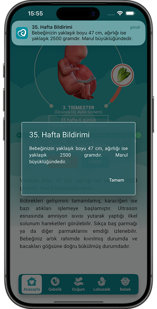Annelik Yolculuğu Mobil Bildirimler